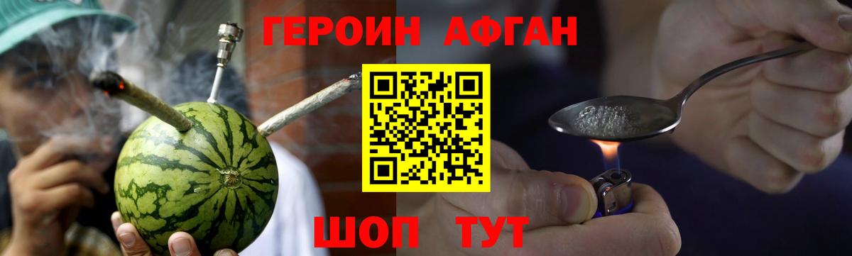 Героин хмурый Губкинский