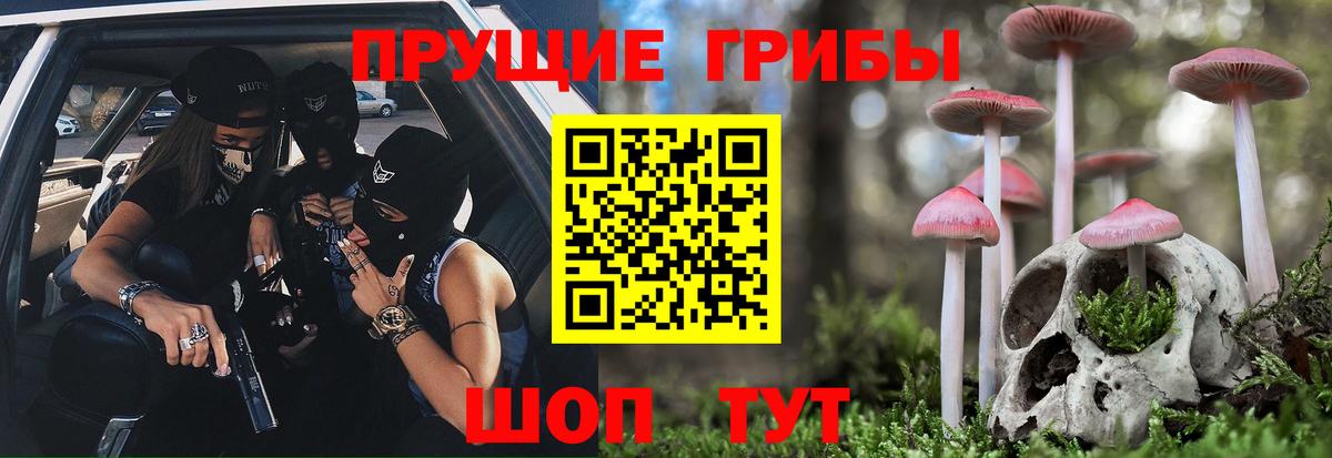 Губкинский  Галлюциногенные грибы мицелий  Псилоцибиновые грибы Psilocybine cubensis  Вход с VPN 